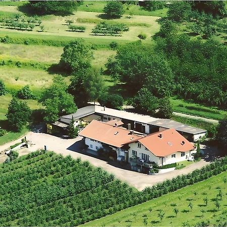 ヘルボルツハイムWeingut Ringwaldアパートメント エクステリア 写真
