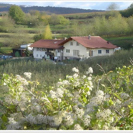 ヘルボルツハイムWeingut Ringwaldアパートメント エクステリア 写真