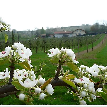 ヘルボルツハイムWeingut Ringwaldアパートメント エクステリア 写真