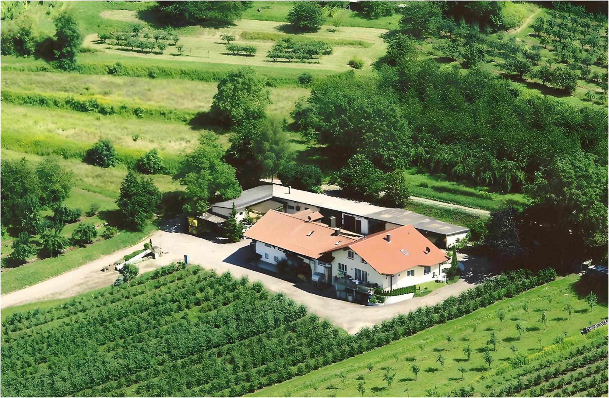 ヘルボルツハイムWeingut Ringwaldアパートメント エクステリア 写真