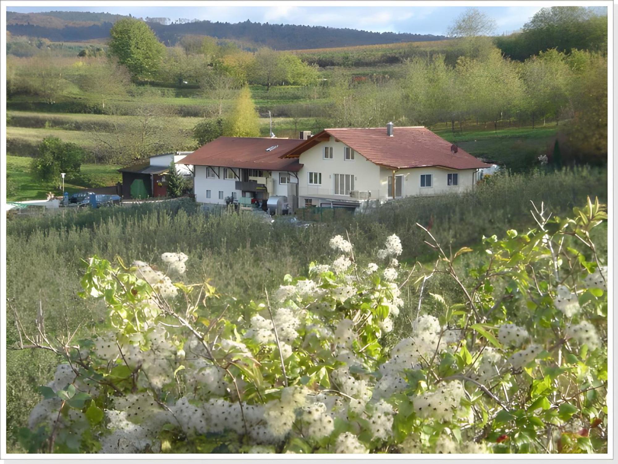 ヘルボルツハイムWeingut Ringwaldアパートメント エクステリア 写真